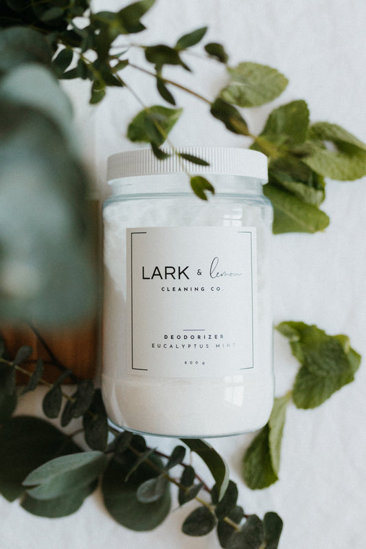 Deodorizer - Eucalyptus + Mint